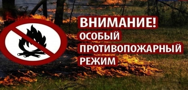 «Об установлении особого противопожарного режима на территории Донецкой Народной Республики».
